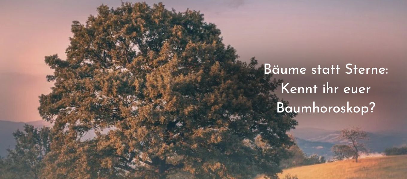 Bume statt Sterne: Kennt ihr euer Baumhoroskop?  GeschenkBaum - Shop