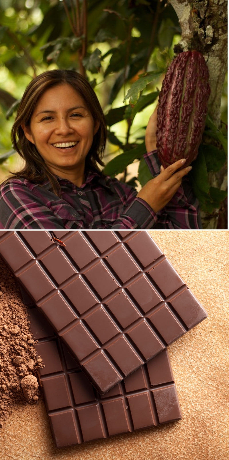 Faire Schokolade & eine KakaoBaumpatenschaft - eine wirklich nachhaltiges Geschenk zum Valentinstag! Foto: Eine lachende Frau vor einem KakaoBaum und eine Tafel Edelschokolade.