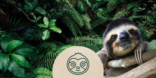 Tierpatenschaft Faultier