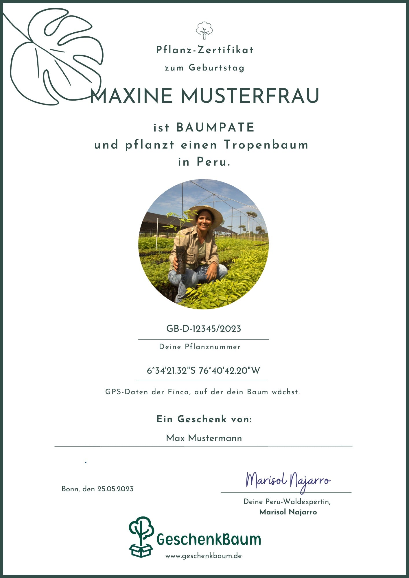 Musterzertifikat GeschenkBaum