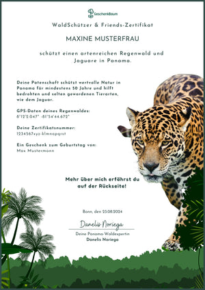 Musterzertifikat Jaguar