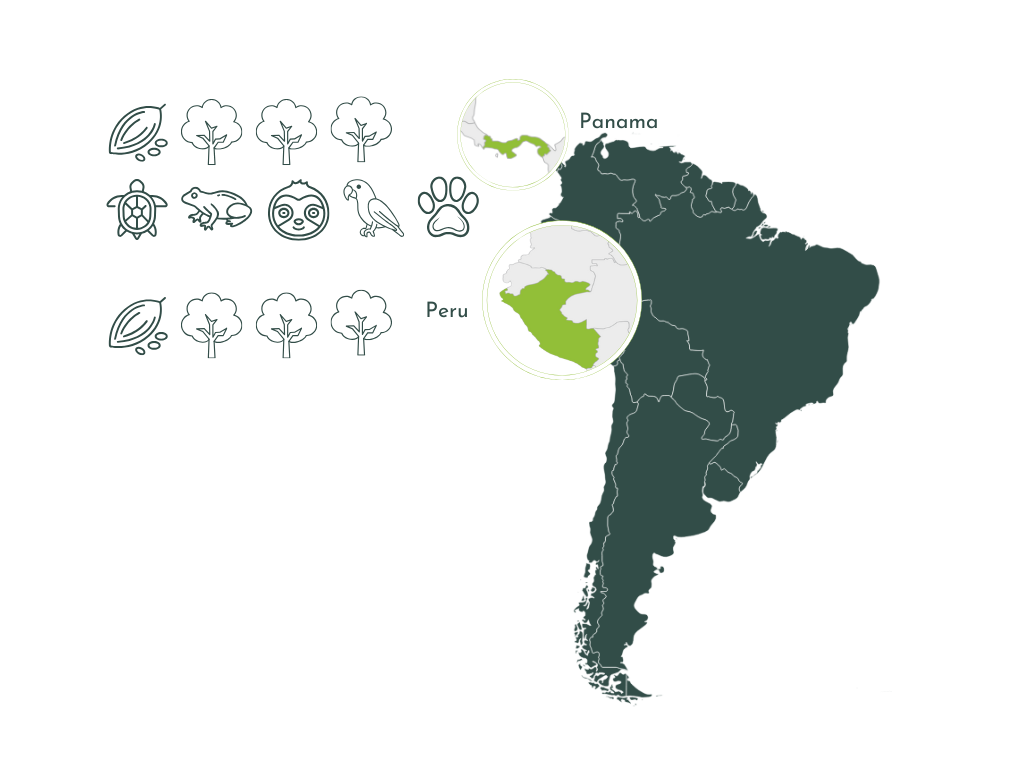 Kartenausschnitt Lateinamerika