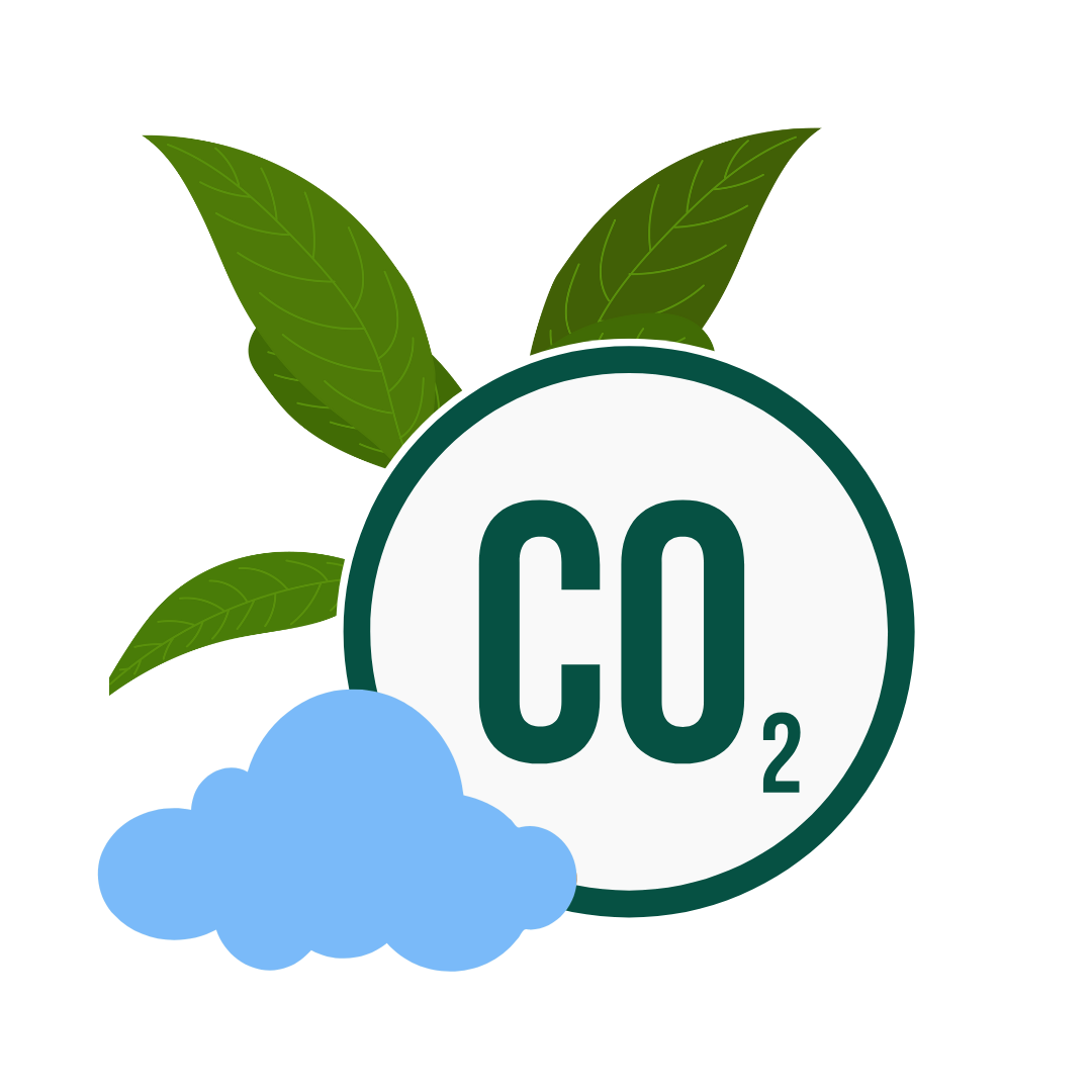 Waldschutz und Baumpatenschaften bedeuten Klimaschutz!