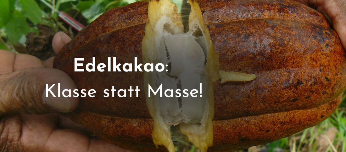 Edelkakao Klasse statt Masse