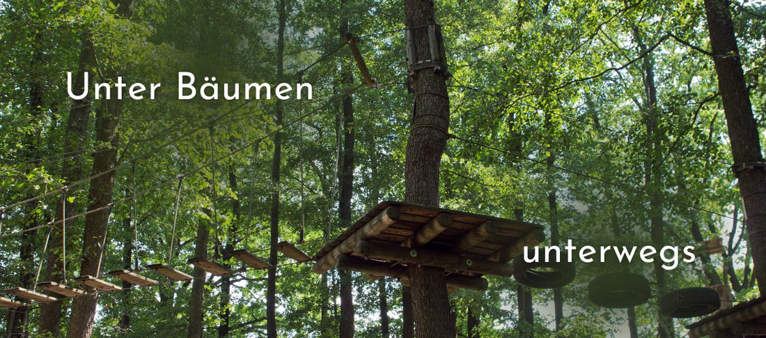 Unter Bäumen unterwegs – Ausflugstipps zum Tag des Baumes