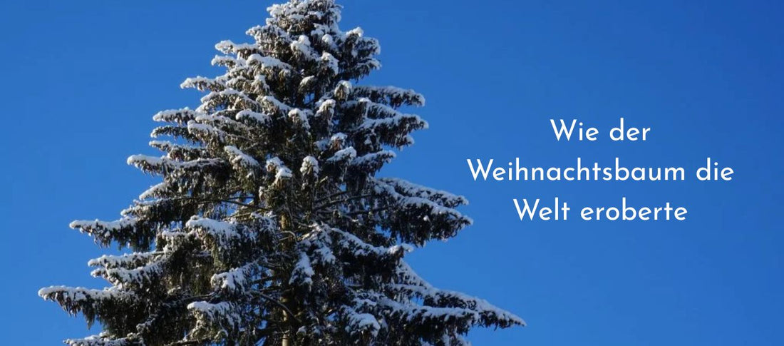 Wie der Weihnachtsbaum die Welt eroberte 🎄