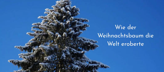 Wie der Weihnachtsbaum die Welt eroberte 🎄