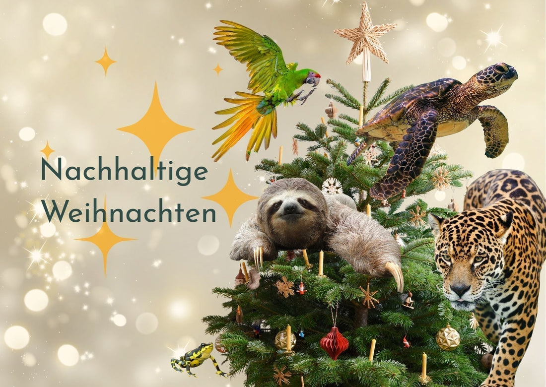 Nachhaltige Weihnachten: Unsere Tipps ohne Plunder und Plastik 💚