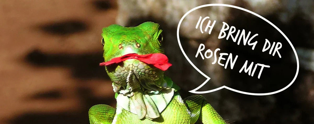 Von Herzen schenken – wie fair sind Valentinstagsgeschenke?