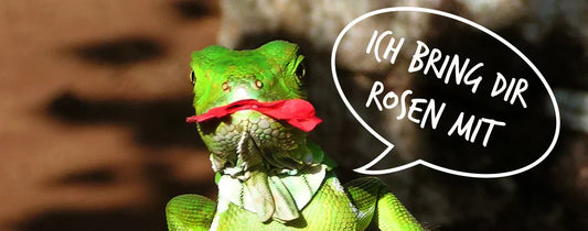Von Herzen schenken – wie fair sind Valentinstagsgeschenke?
