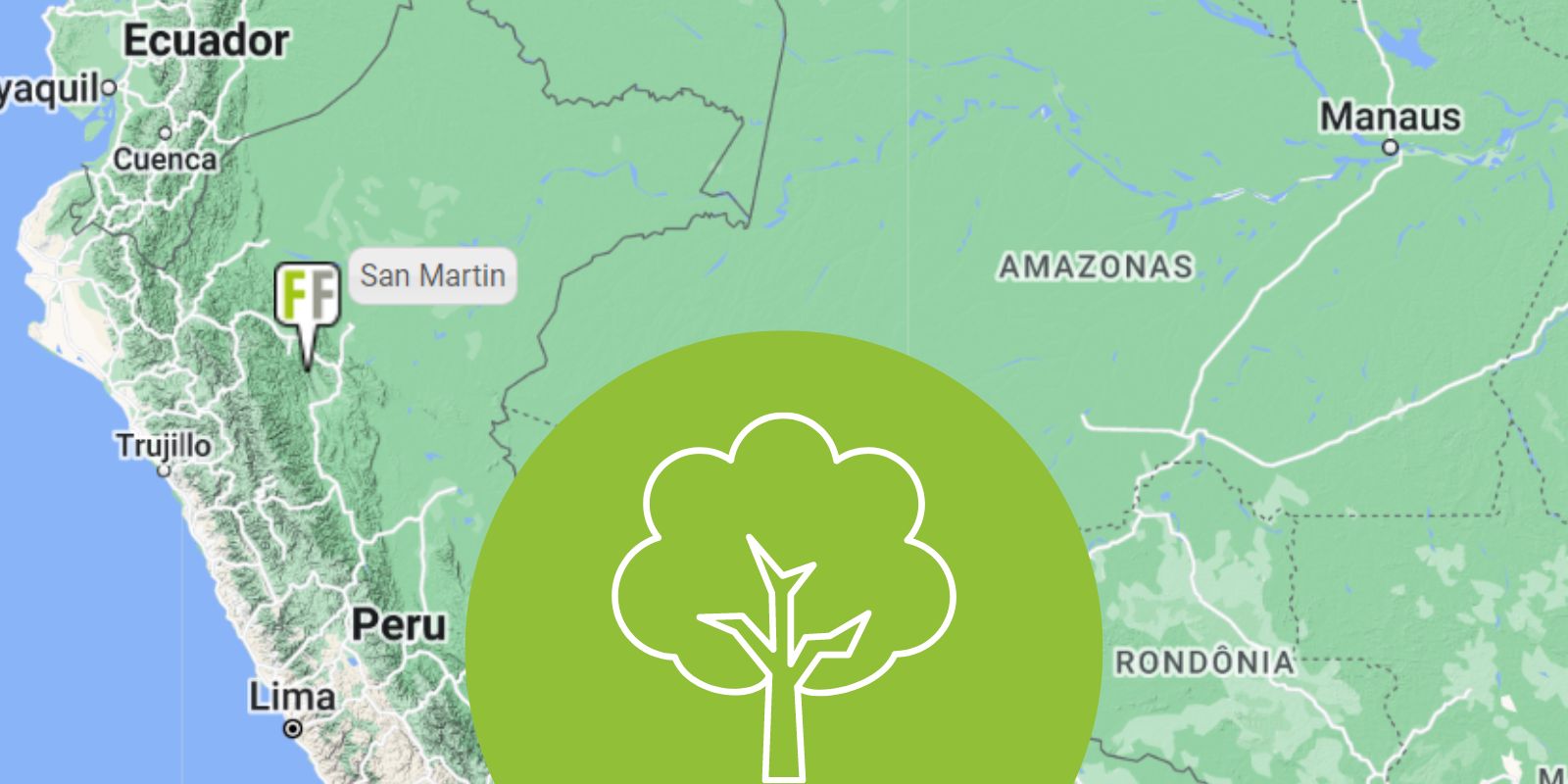 Transparenz: Standortanzeige Googlemaps unseres nachhaltigen Mischwaldes aus GeschenkBäumen in Peru