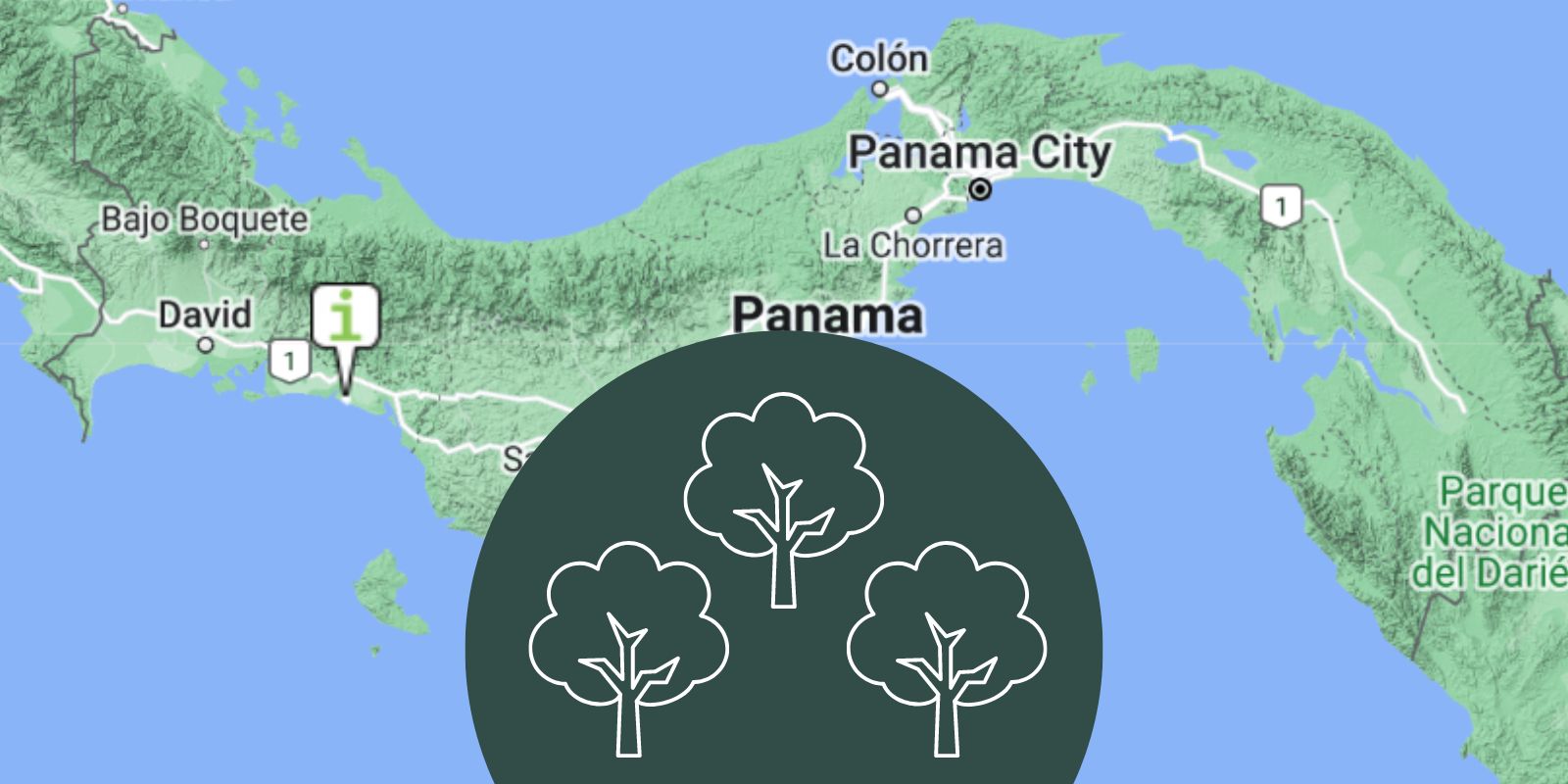 Transparenz: Standort Googlemaps von unserem Regenwaldschutz in Panama