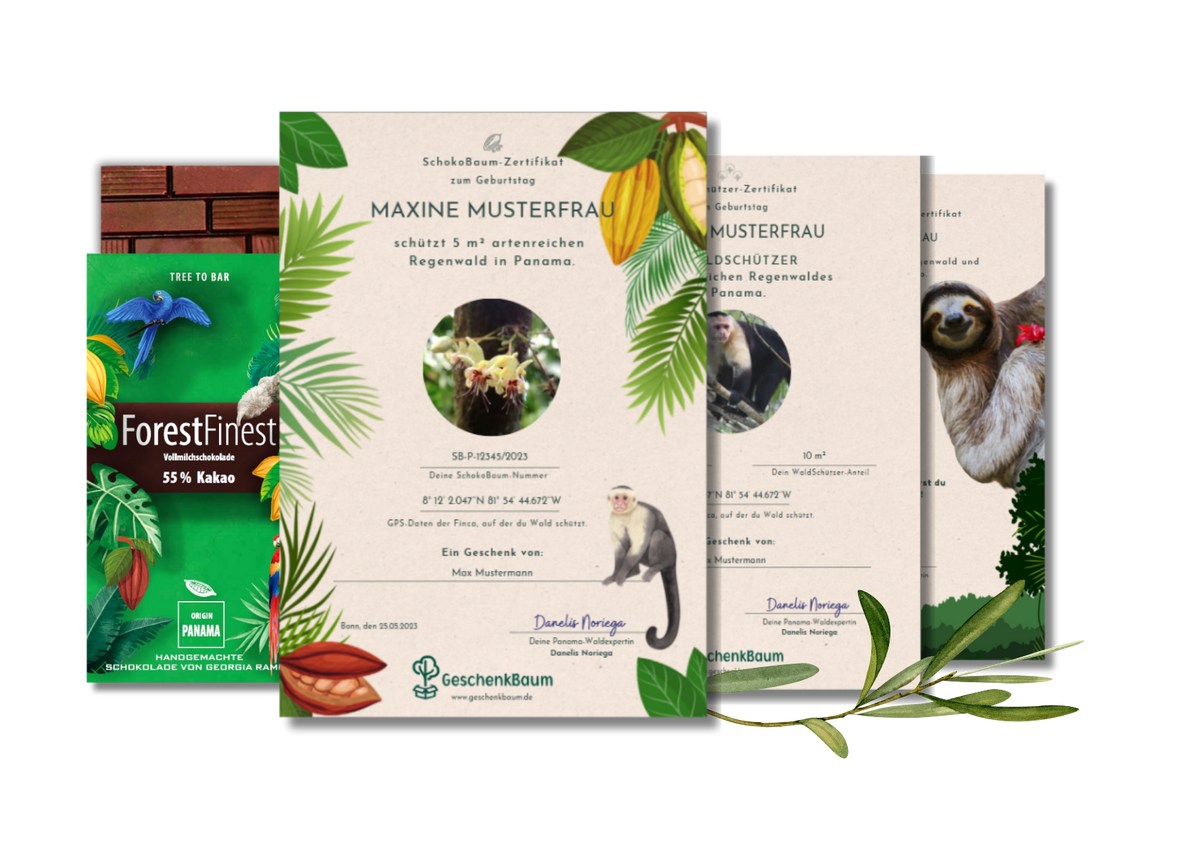Produkt-Collage mit nachhaltigen Geschenkideen, Schokolade, Baumpatenschaften und Waldschutz-Projekten 