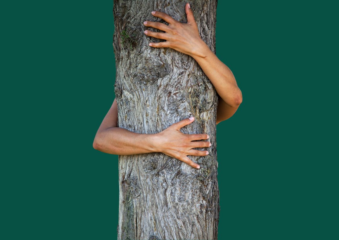 Das nachhaltigste Geschenke: Eine Baumpatenschaft. Eine Person umarmt einen Baum