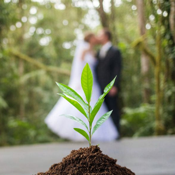 Nachhaltige Geschenke zur Hochzeit