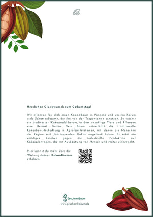 Rückseite des KakaoBaum-Zertifikats auf weißem Grund