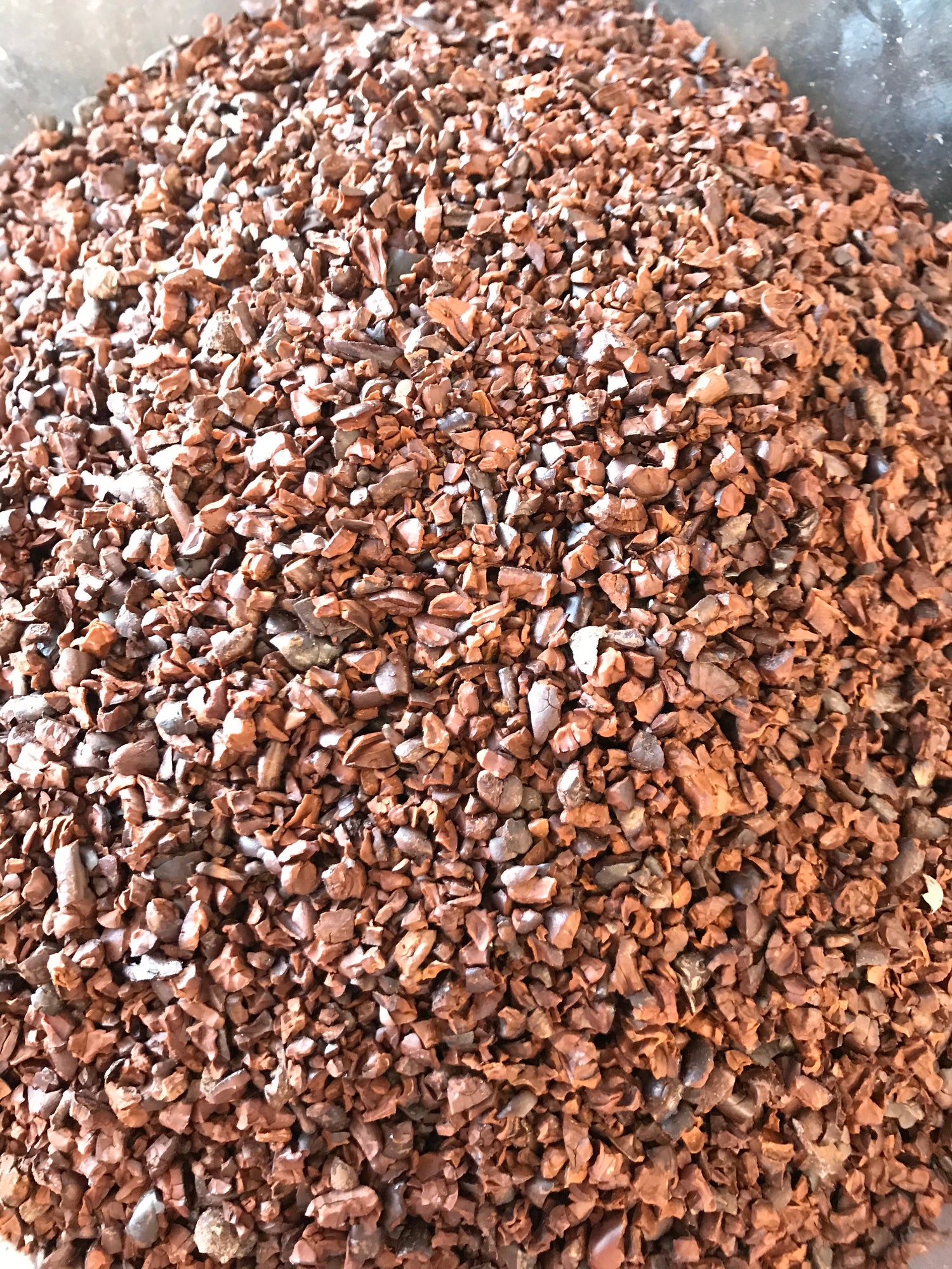 Ausschnitt Kakaonibs