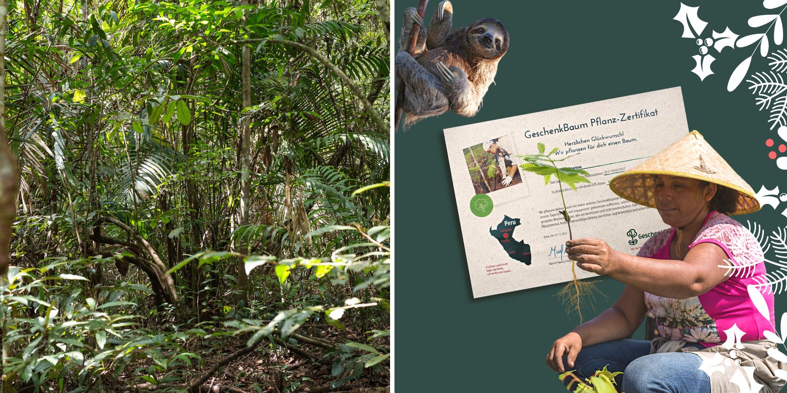 Geschützter Regenwald in Peru (links im Bild). Eine Baumpatenschaft zu Weihnachten ist ein  nachhaltiges Geschenk, das mitwächst!