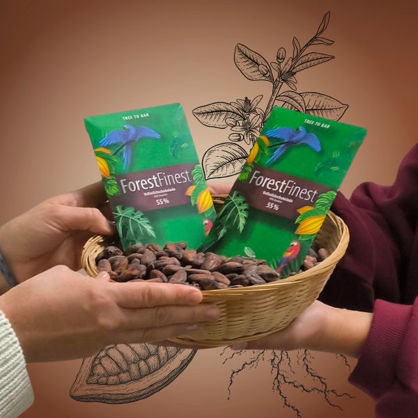 Hände halten Korb mit Kakaobohnen und Schokotafeln