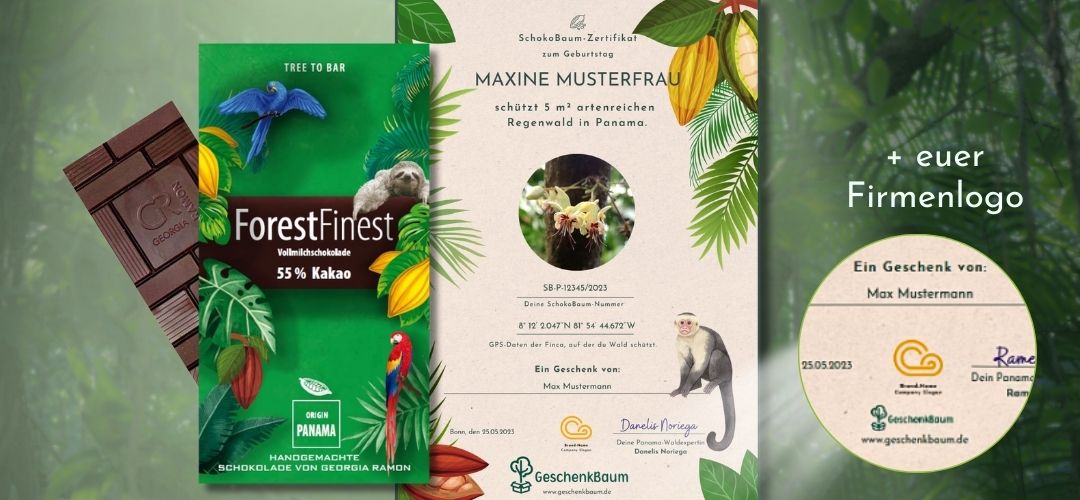 SchokoBaum-Collage Schoklade und Verpackung und Regenwaldschutz Zertifikat