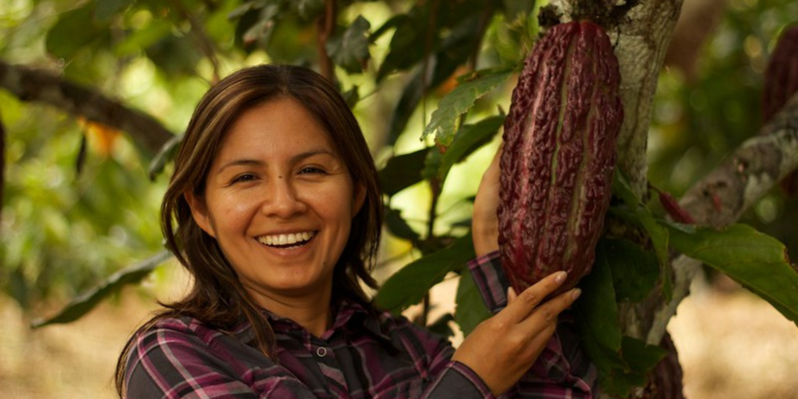 Frohe Ernte! Marisol Najarro aus unserem Team hält eine reife Kakaofrucht.