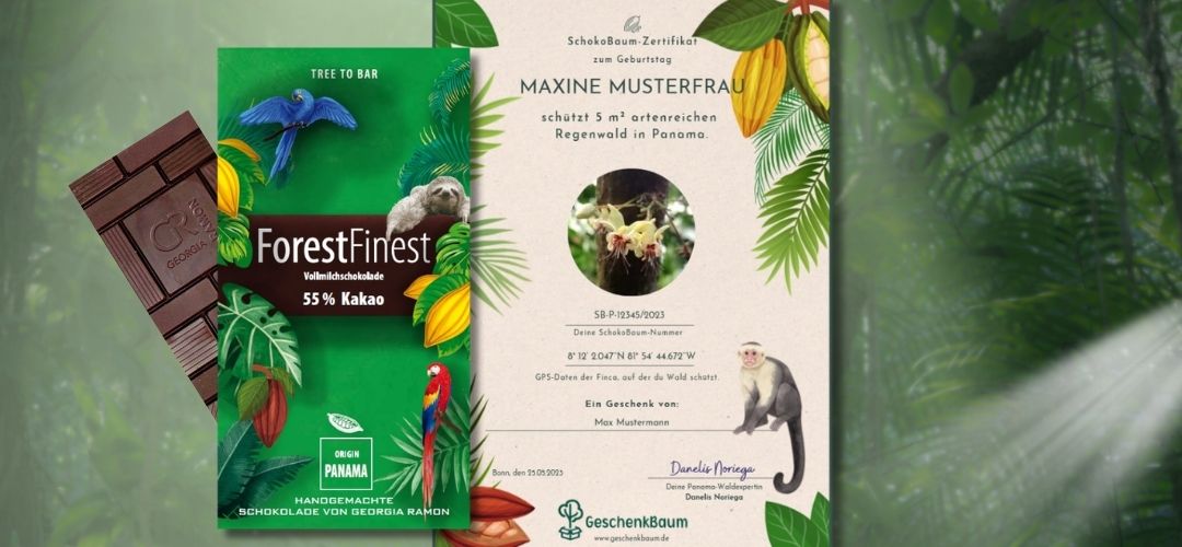 SchokoBaum Collage mit Bio-Schokolade, Kakaofrüchten und Regenwaldprojekt in Panama