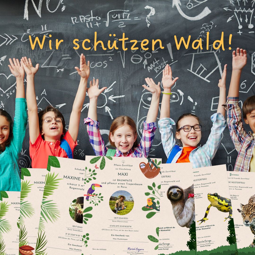 Schulklasse Einschulung