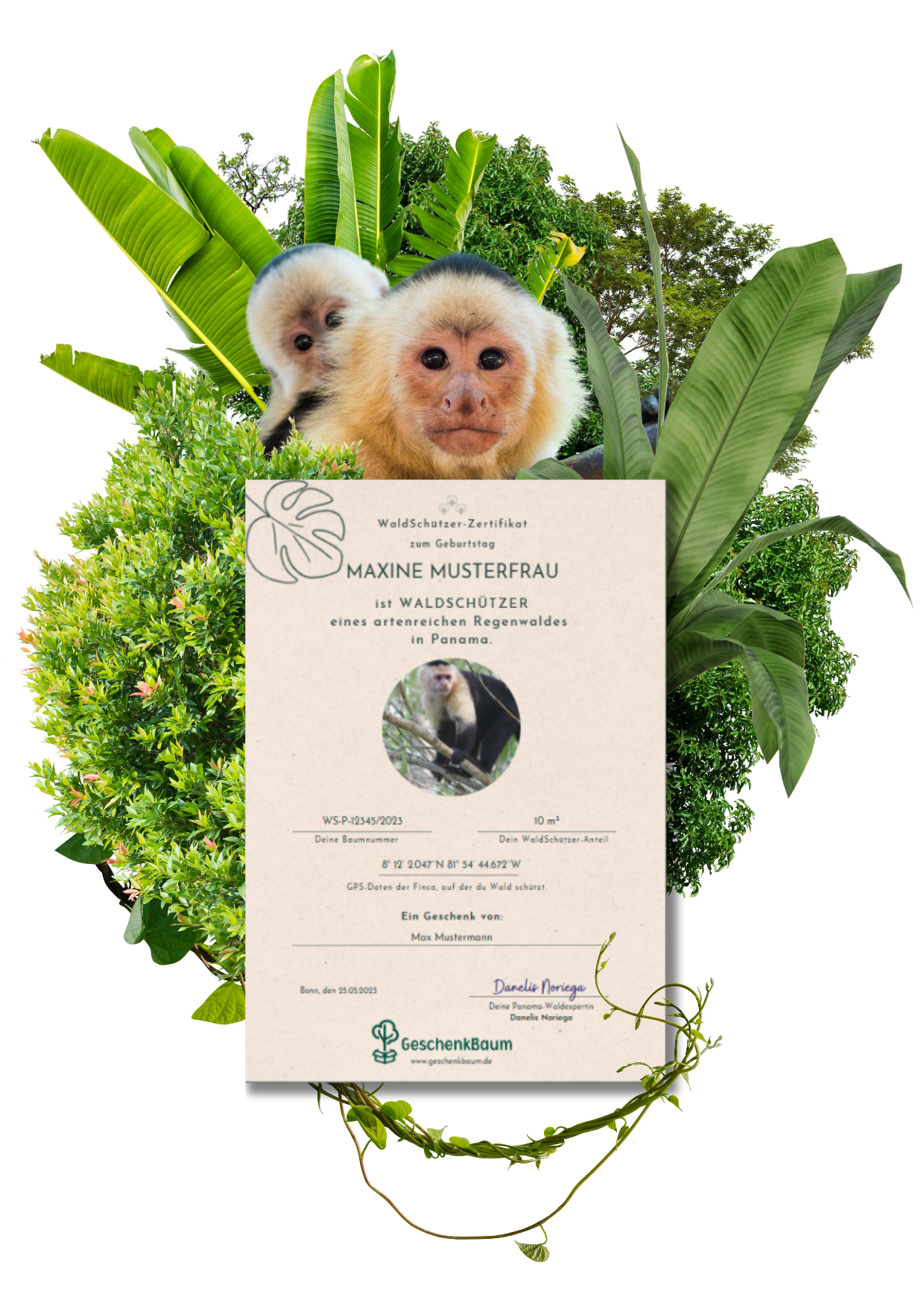 Waldschützer-Zertifikat vor einer Affenfamilie im Wald