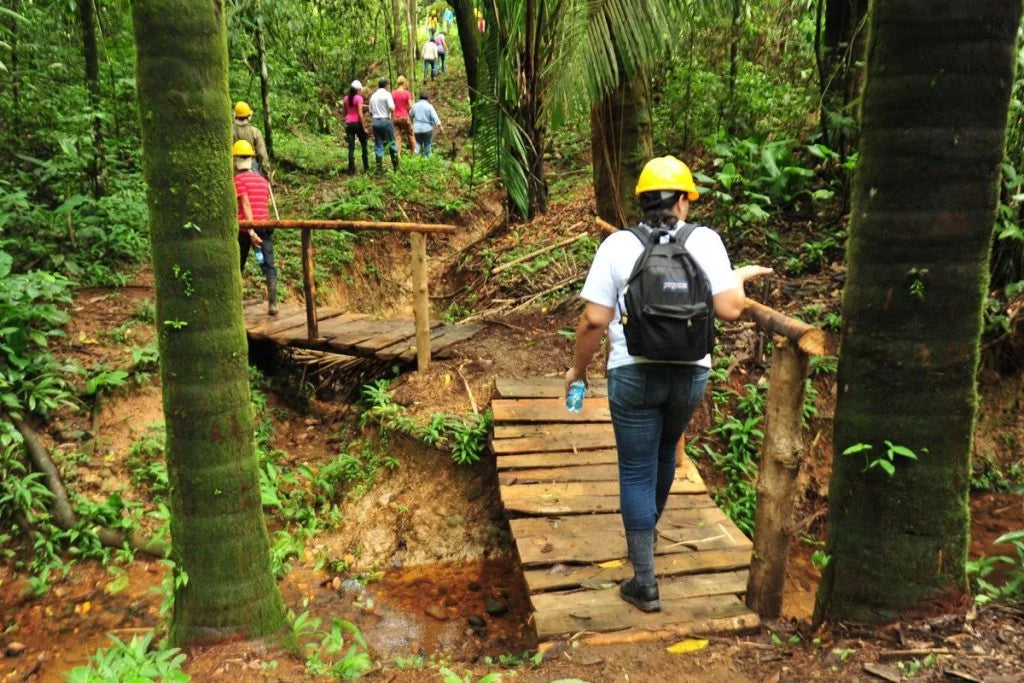 Naturlehrpfad Panama
